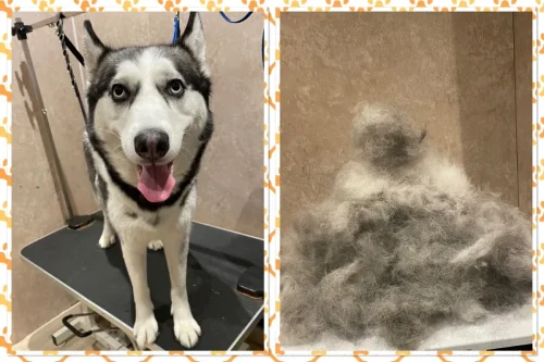 4CC0959B-EB11-4F44-8DEB-D7C9225760DE