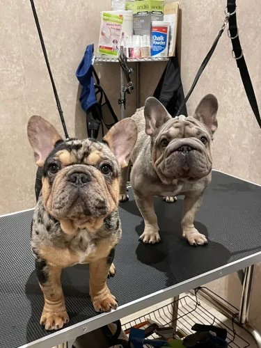 638926D8-0CD0-4B46-88EE-56024848DFBC