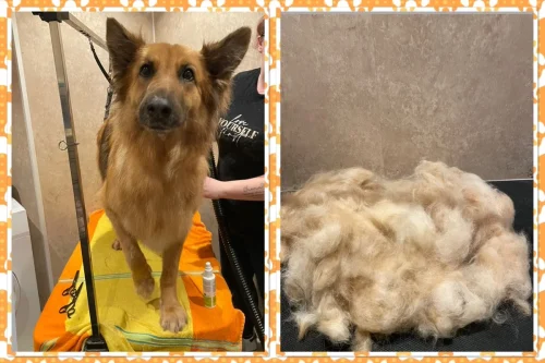 9468EB19-8AEA-46BA-BD2E-34CD6612FEF2